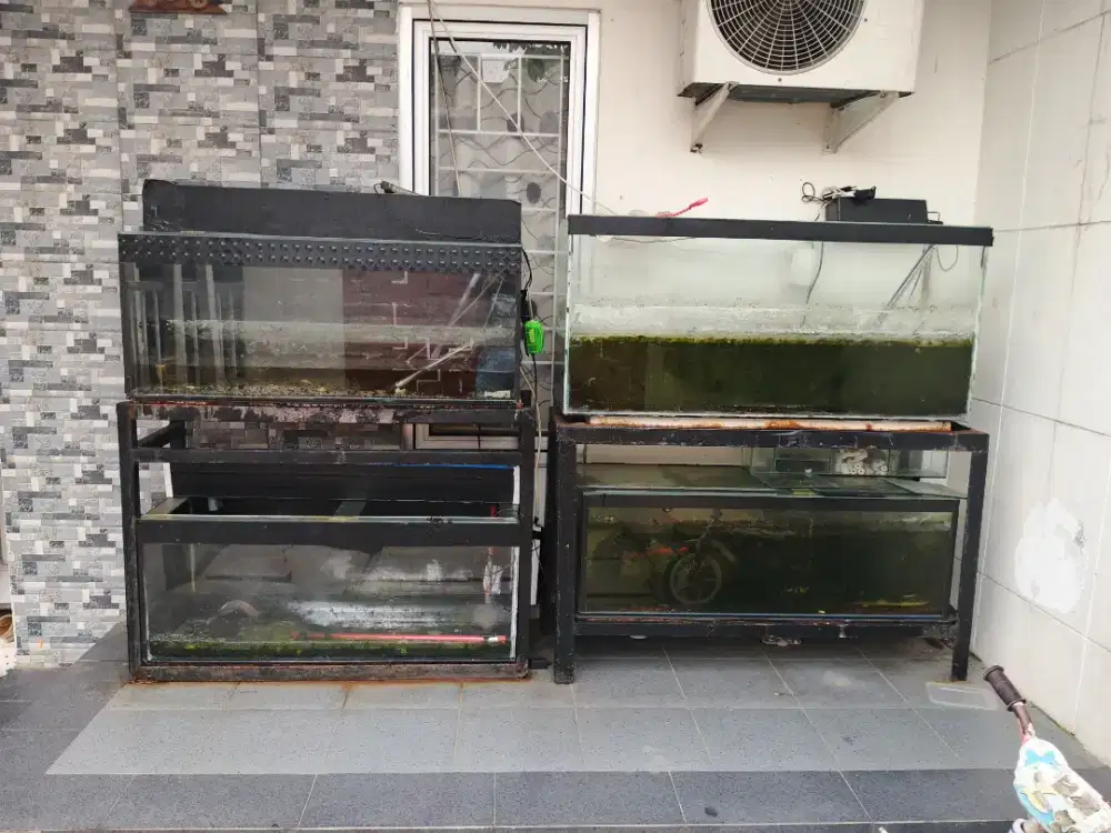 Jual aquarium second