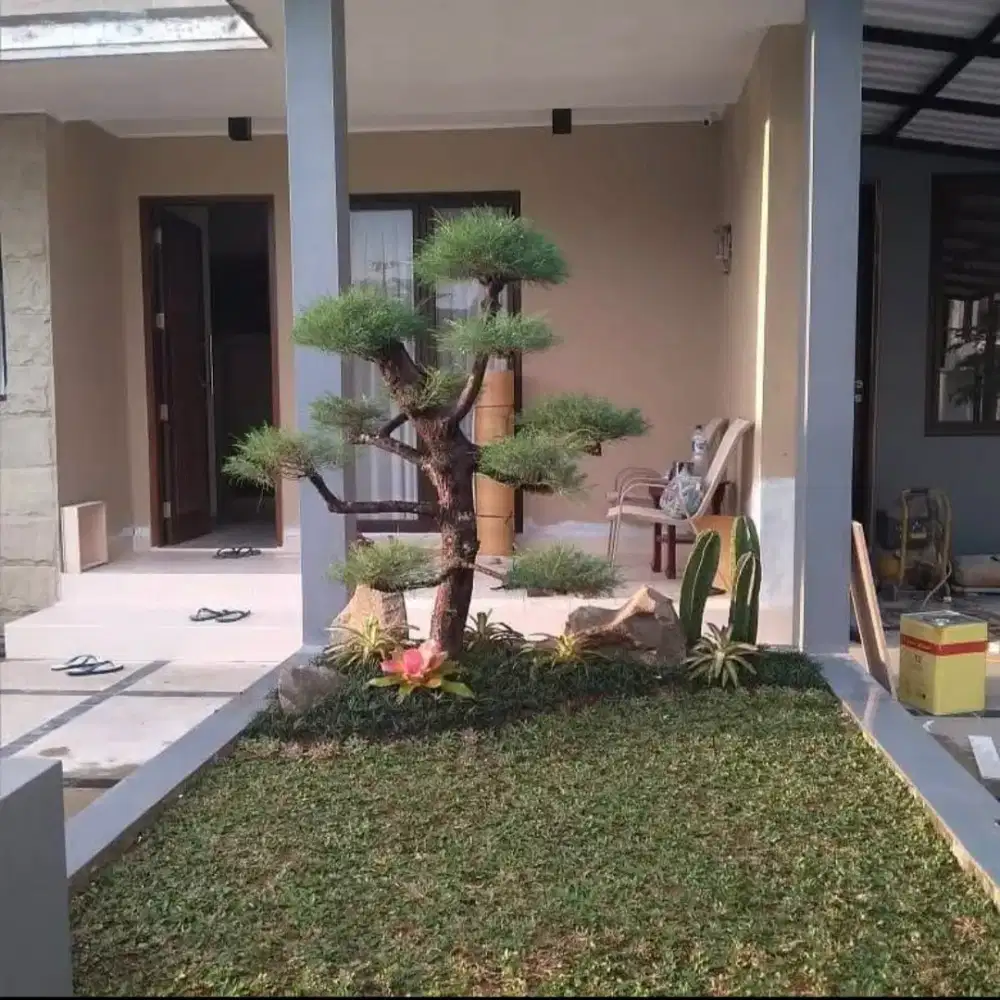 Taman rumah | jasa taman rumah | jasa taman murah | taman profesional