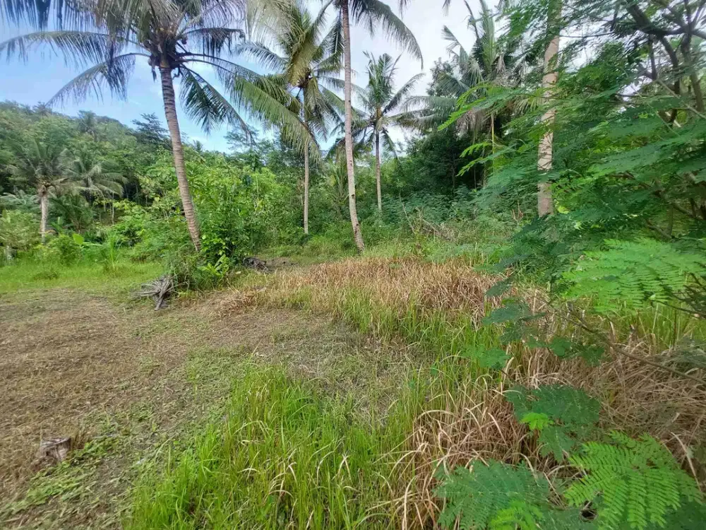 JUAL TANAH DI MARGOSARI PENGASIH KULONPROGO