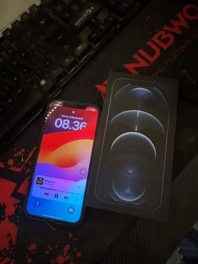 12 Promax 256 Gb IBOX