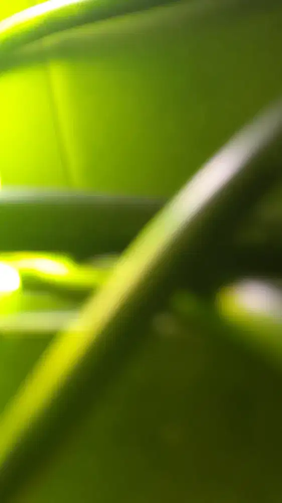 Lowongan laundry untuk setrika Uap dan packing,