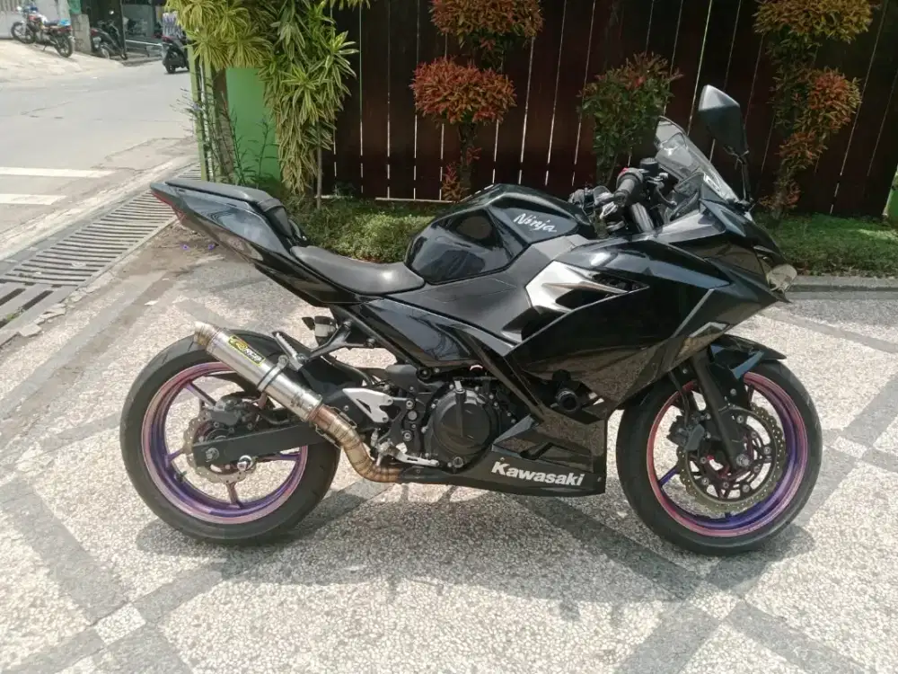 Kawasaki ninja 250 cc