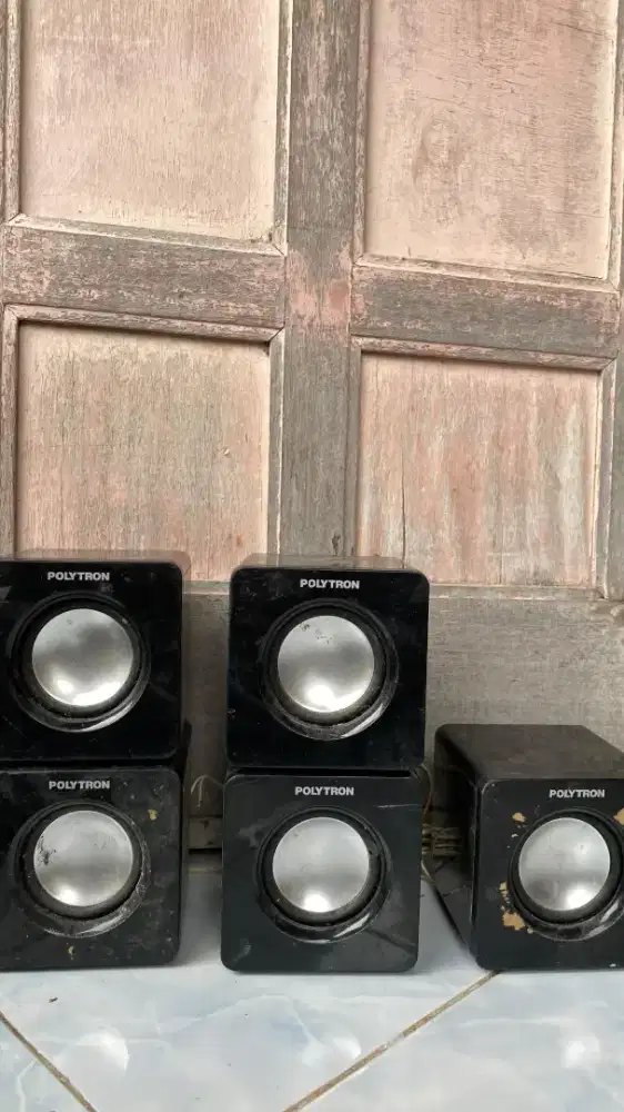 Speaker polytron