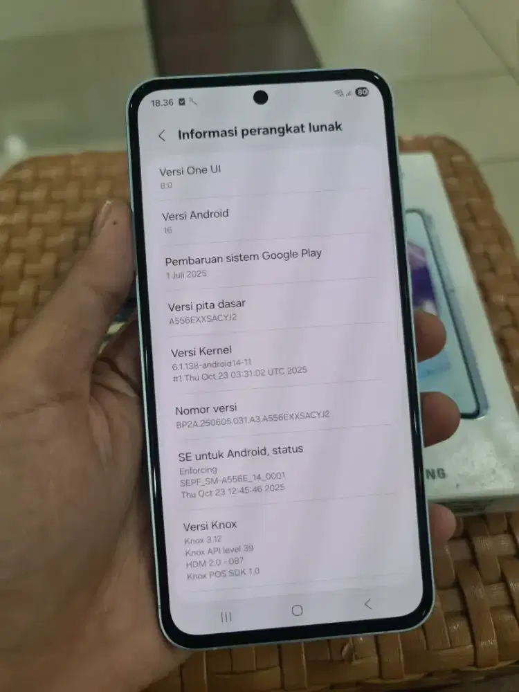 Samsung Galaxy A55 5G Indonesia