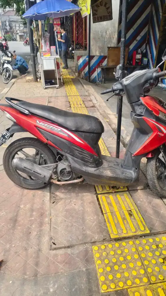 Vario 110 Agnes 2015