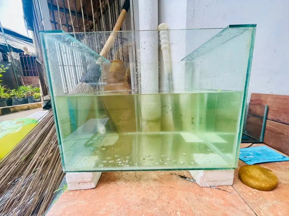 Aquarium kaca 5mm uk 40x30x30