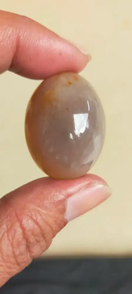 Bacan jumbo serat ager joss