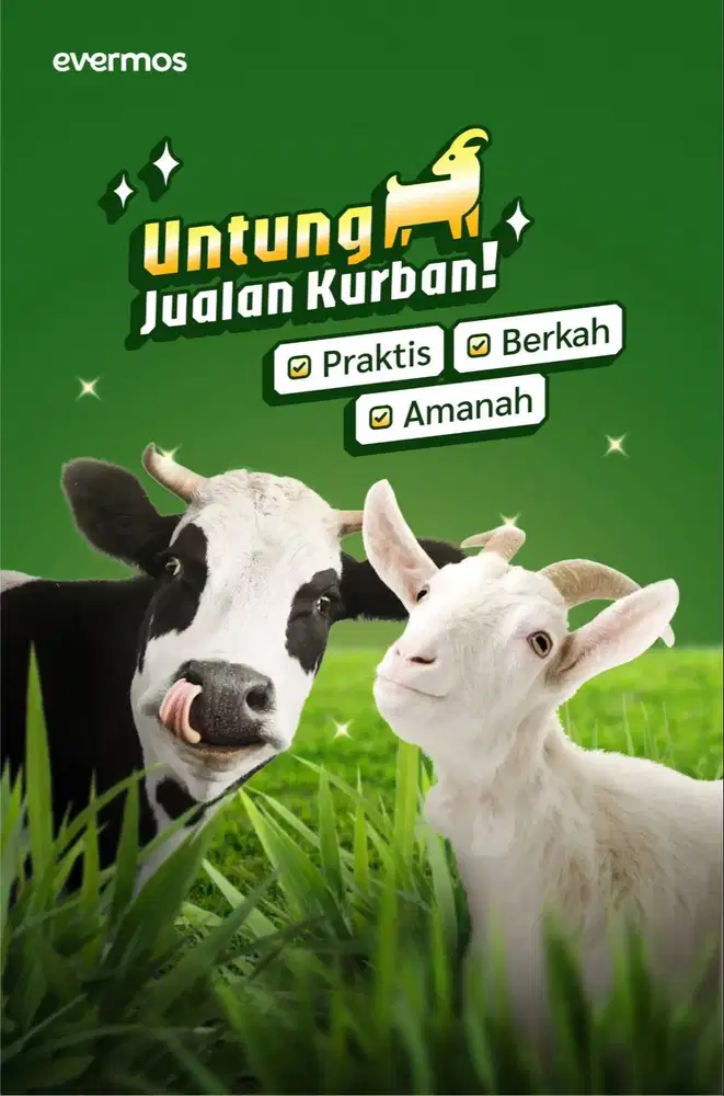 DICARI VENDOR QURBAN