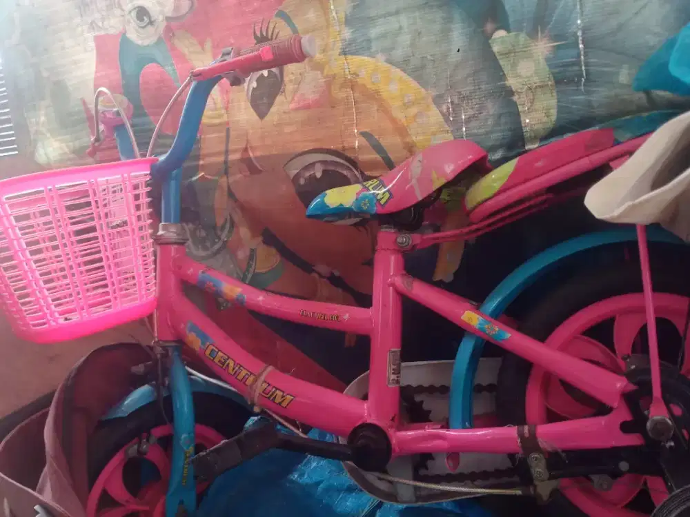 Sepeda Anak bekas