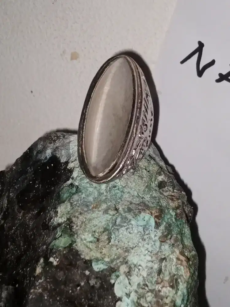 Pandan ajibbb murmer