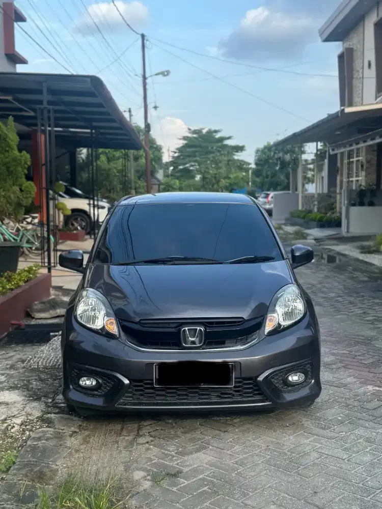 BRIO MANUAL E 2016