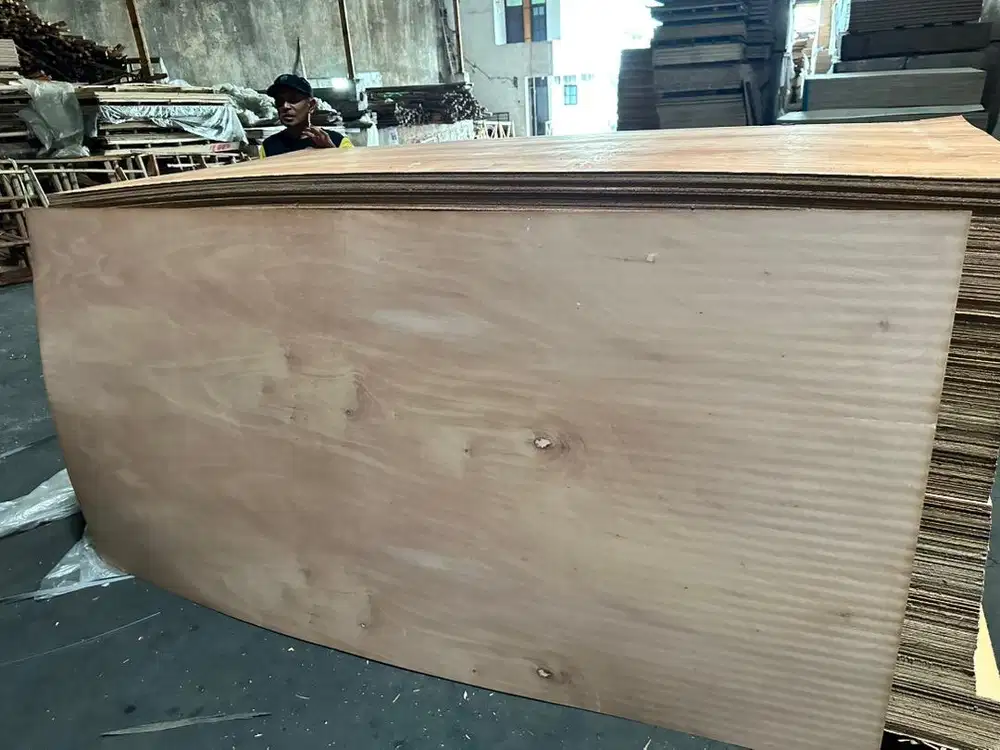 Kernet angkutan triplek