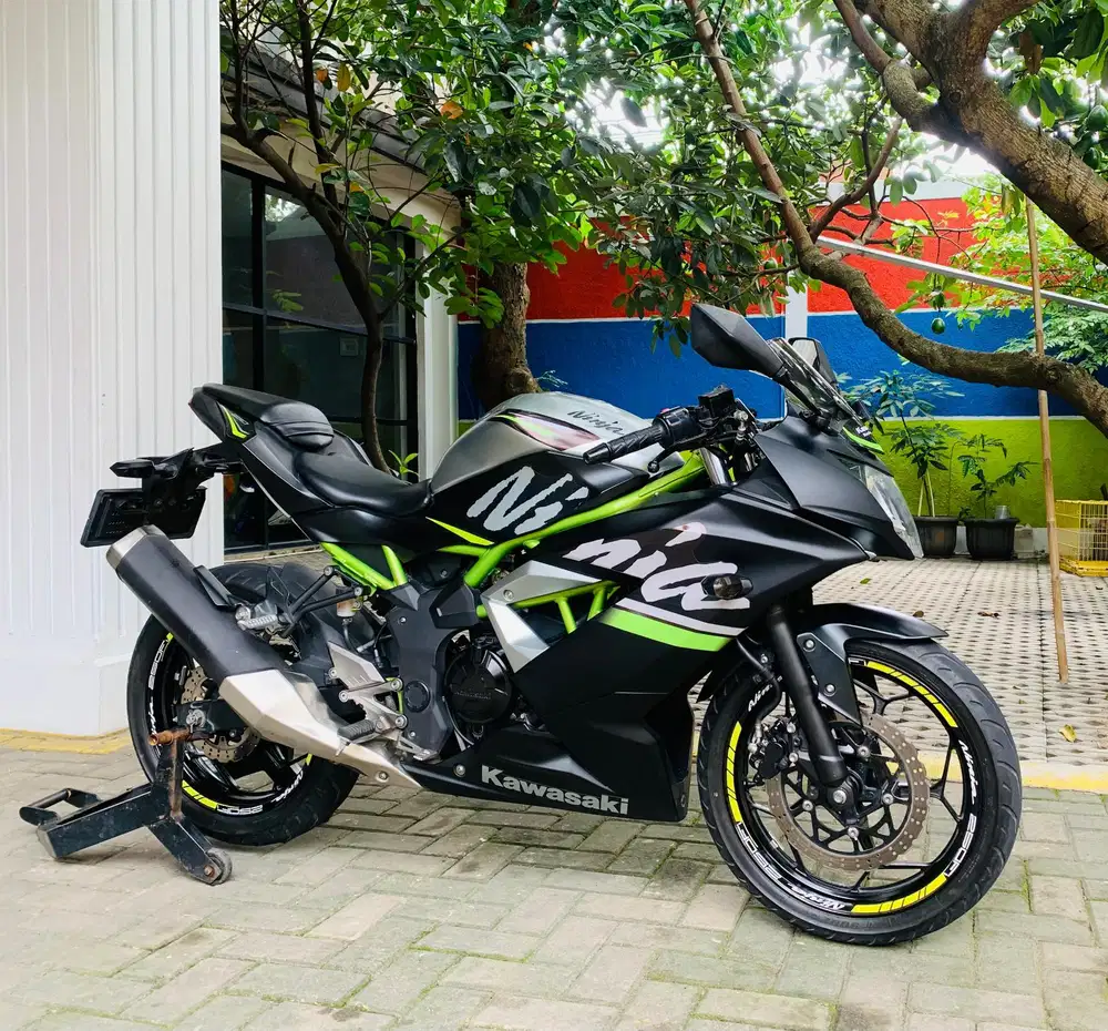 Kawasaki ninja 250 sl mono
