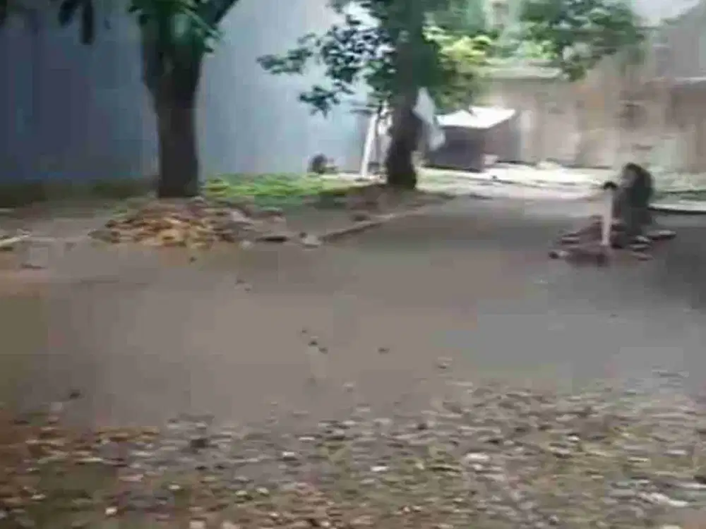 Disewakan Tanah Raya Jagakarsa