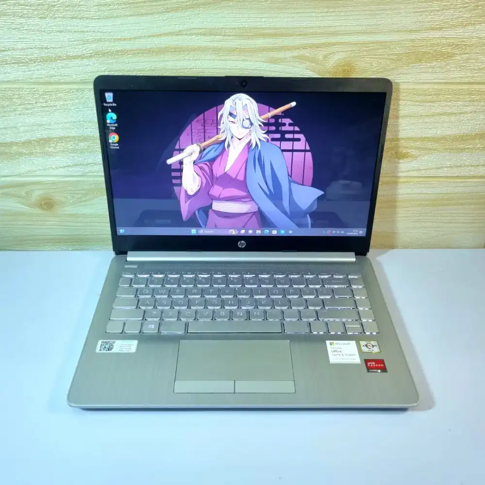 HP 14s - AMD Athlon Gold 3150U