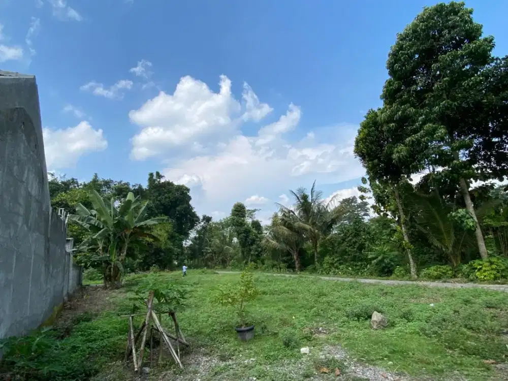 Tanah Siap AJB di Sleman dengan Lingkungan Tenang dan Udara Segar