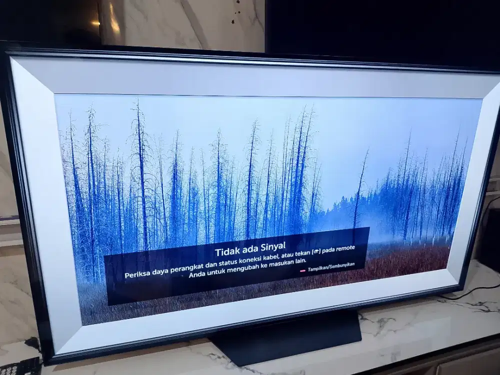 SEMART TV LG OLED 65 INCH CX