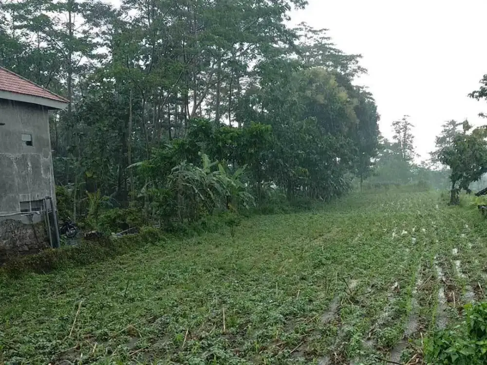 Dijual Tanah Trawas Cocok untuk Development