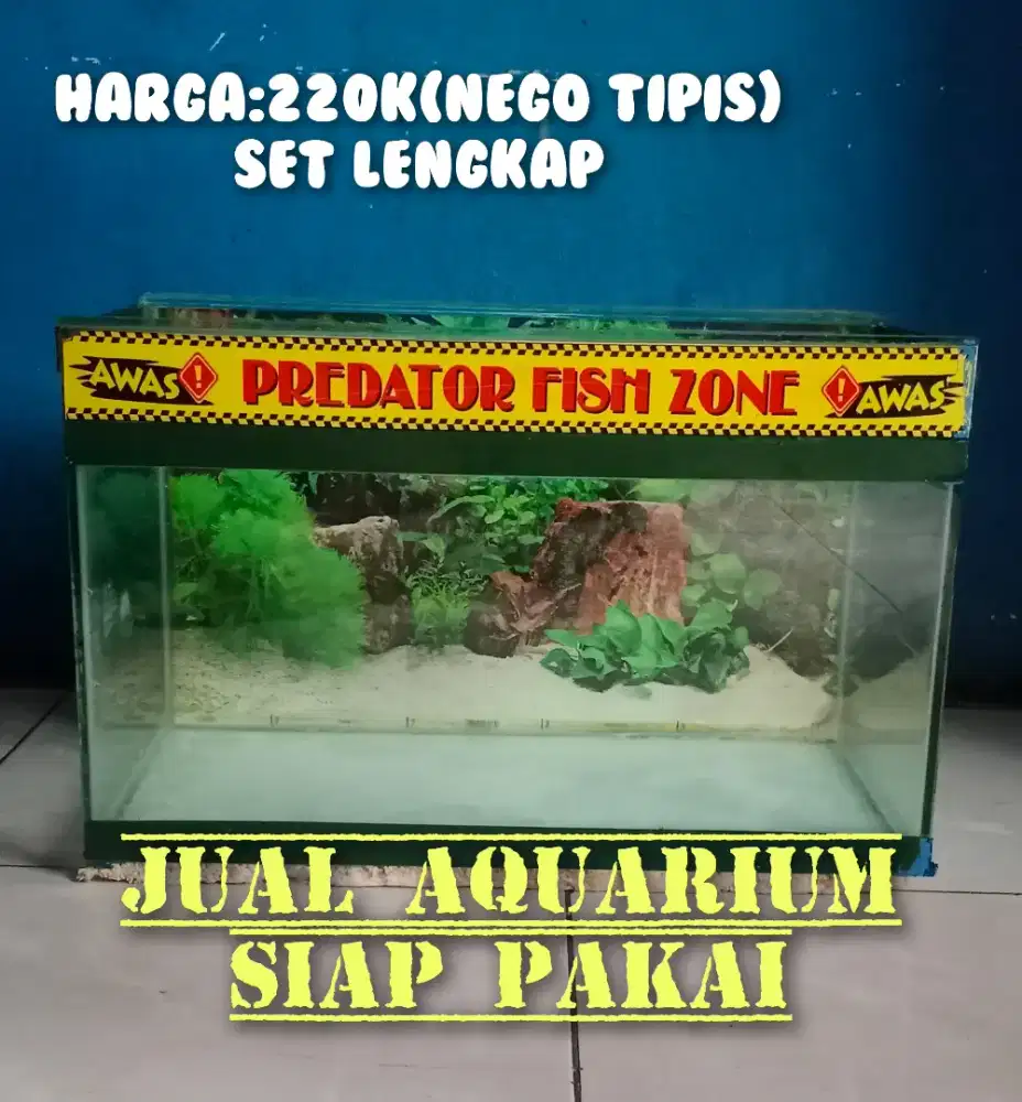 Jual Aquarium Sedang