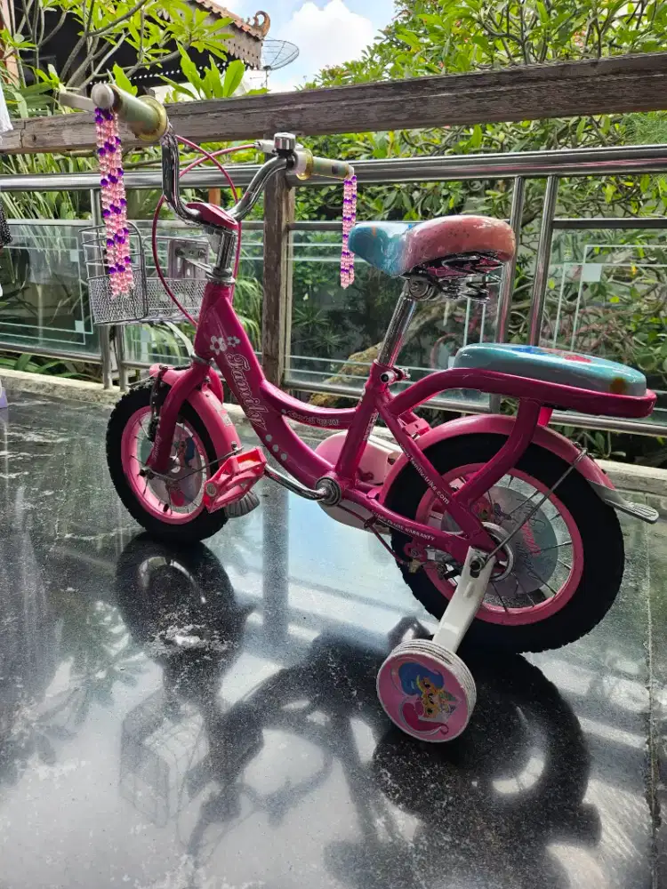 Preloved sepeda anak roda 4 hanya dipakai 2 bulan