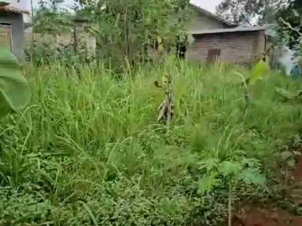 Tanah Kavling 167 m² SHM Di Hajimena Natar Lampung Selatan