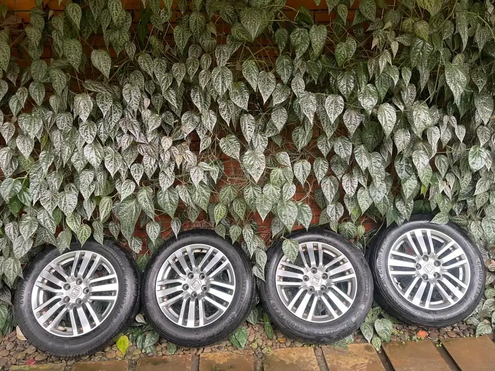 Velg OEM Elysion dan ban r17