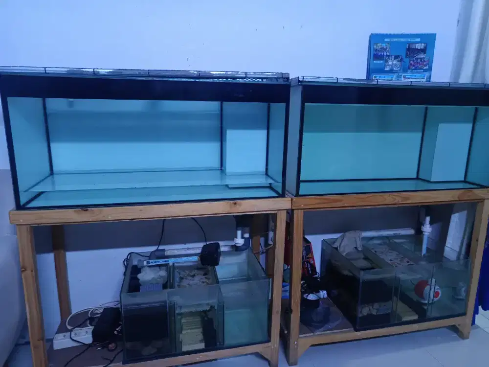 Aquarium ikan hias