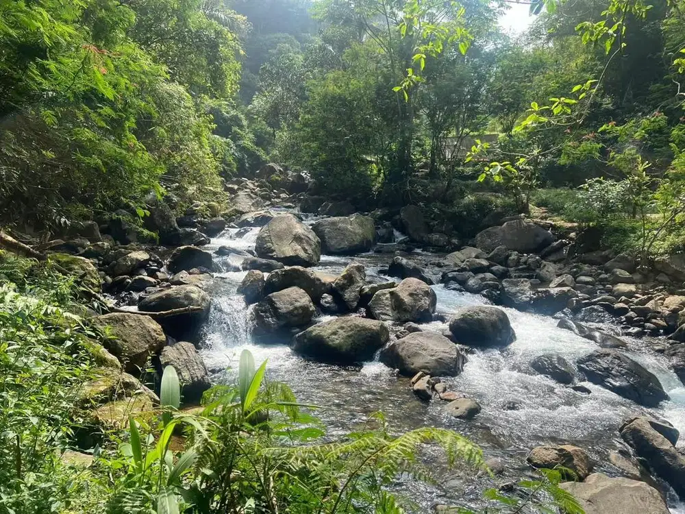 lokasi  Buat Wisata atau Villa ke luarga Nempel Sungai bersih MDPL 900