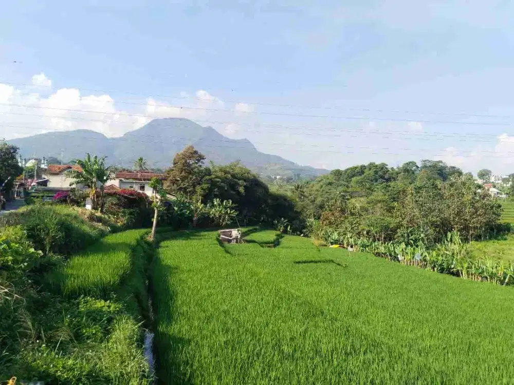 tanah murah dan luas cocok untuk cluster ujung berung kota bandung