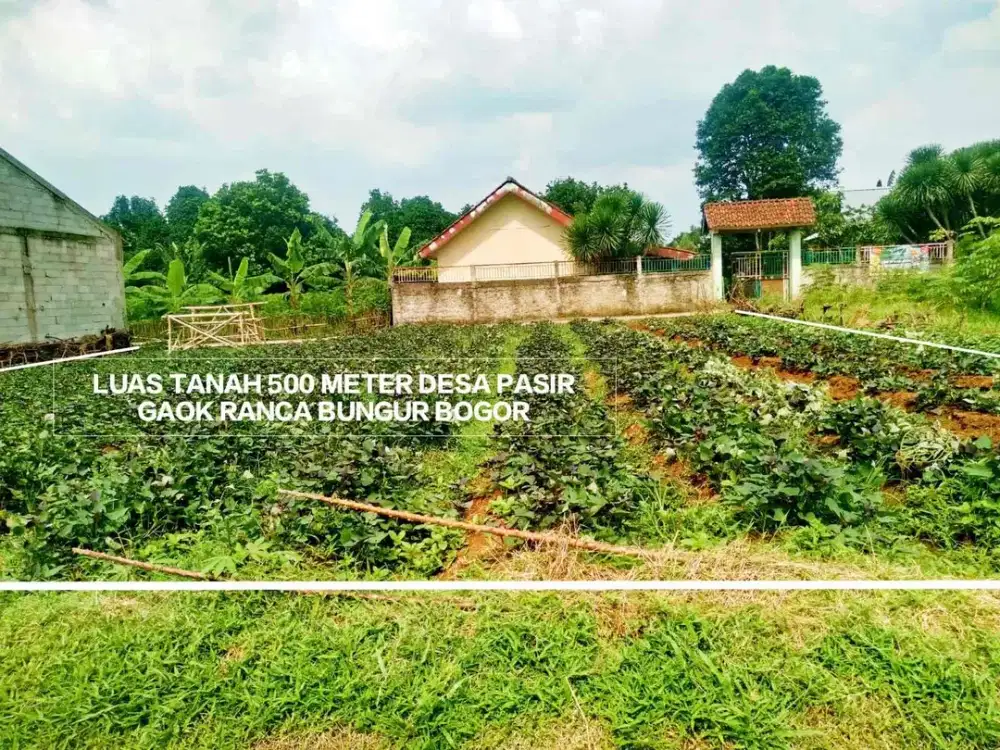 JUAL TANAH KEBUN DEKAT LANGSUNG KE JALAN RAYA ATANG SANJAYA BOGOR