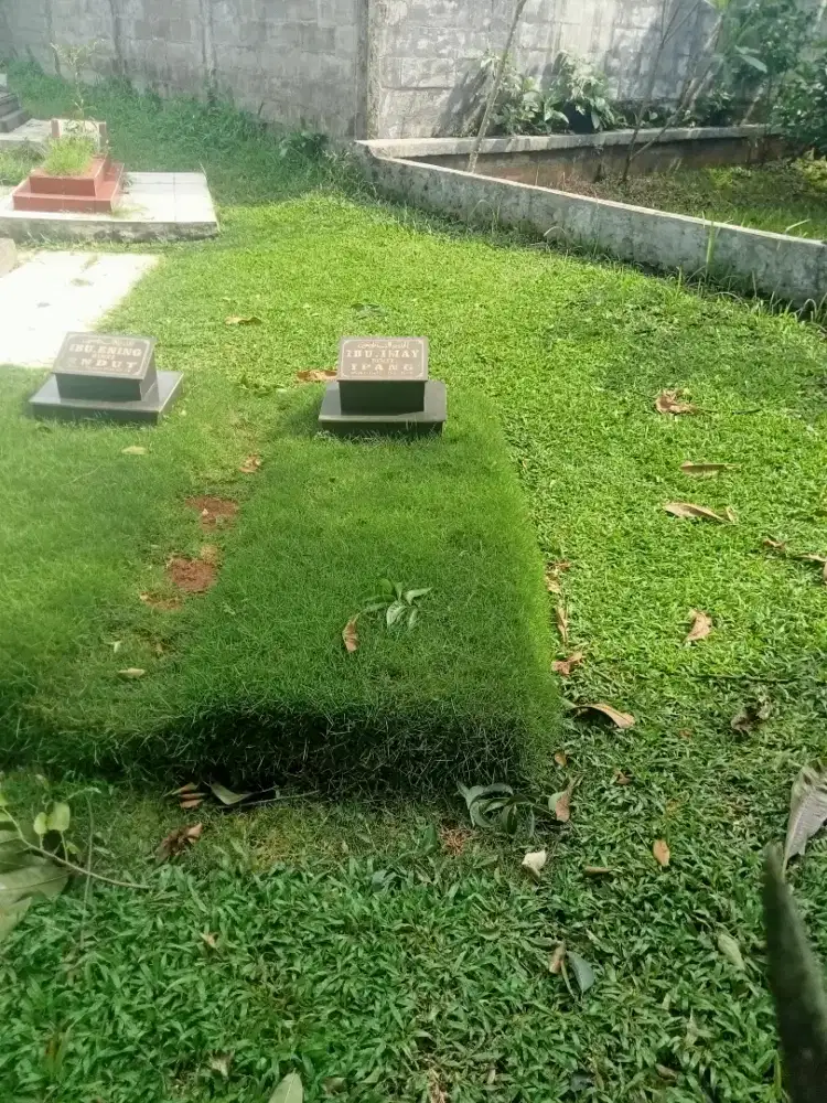 Pemasangan rumput makam