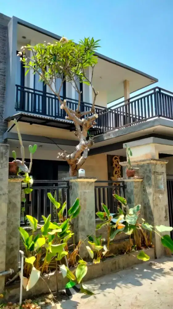 Di kontrakan rumah jalan Tukad Badung, DPS, Bali
