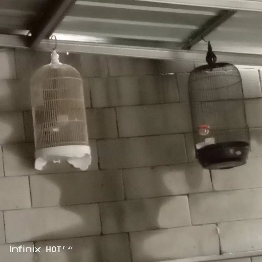 Jual murah aja kandang burung