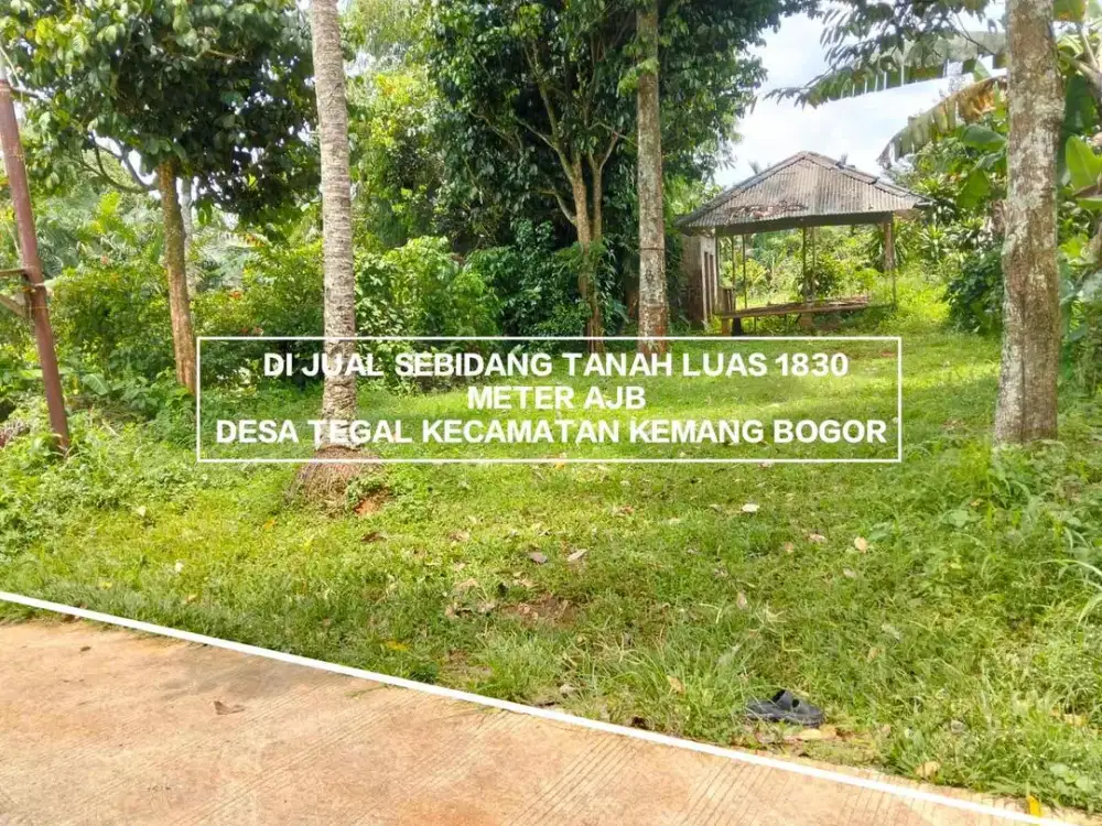 TANAH MURAH TANAH KEBUN LOKASI STRATEGIS DEKAT KE JALAN UTAMA DI KEMANG BOGOR DESA TEGAL