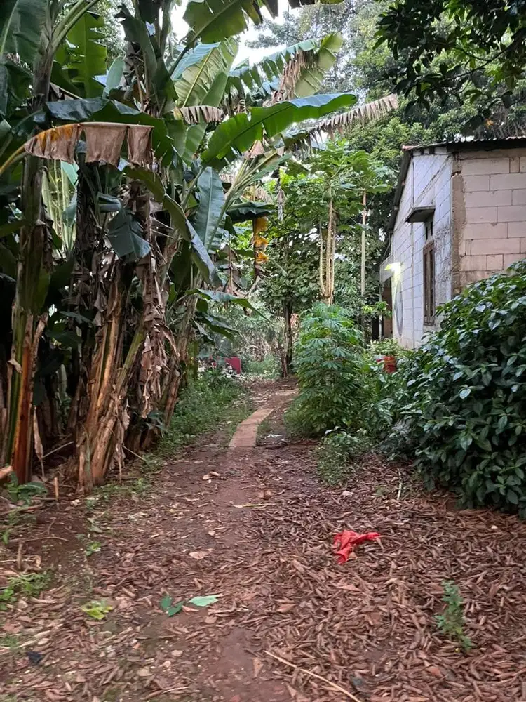 Dijual Tanah murah di Beji depok di sebelah UI dan Jalan Tol