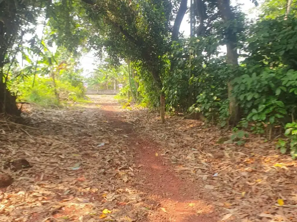 Tanah kavling SHM Cisauk-Bisa cicil 12x Tanpa Bunga