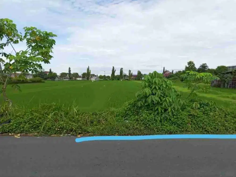 Dijual tanah pekarangan terletak di Jl Bugisan selatan