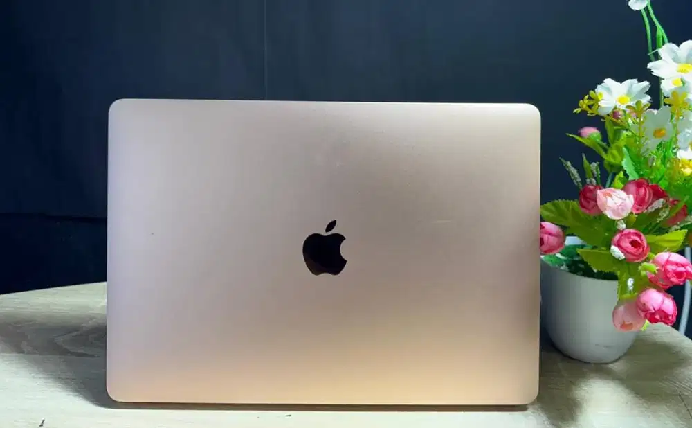 MacBook Air M1 2020 RAM 16GB//256GB All Normal (Rosegold)