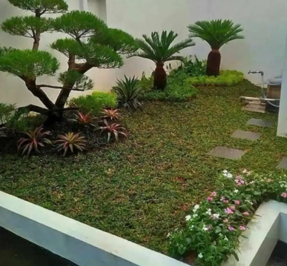 Menerima pembuatan taman minimalis