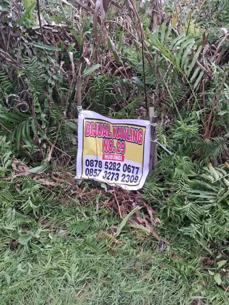 Dijual Murah Tanah Kavling