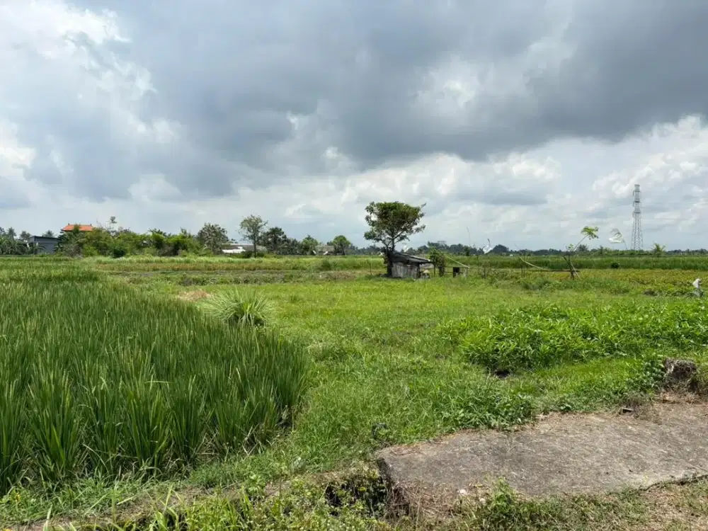 Kapling Emas Badung View Sawah