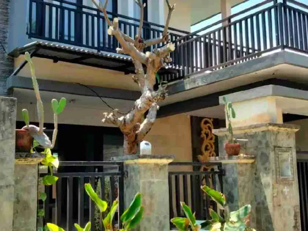 Di kontrakan rumah jalan Tukad Badung , Denpasar, Bali