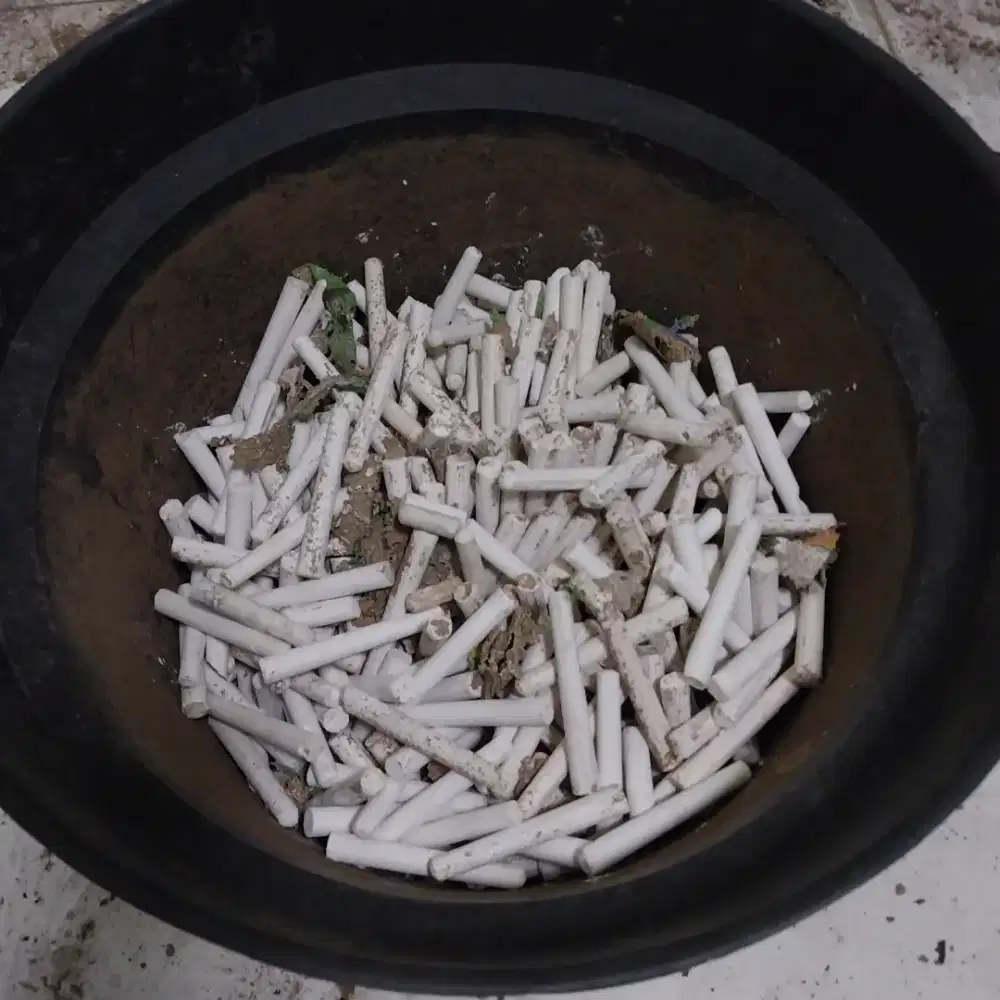 Kapur tulis untuk menulis