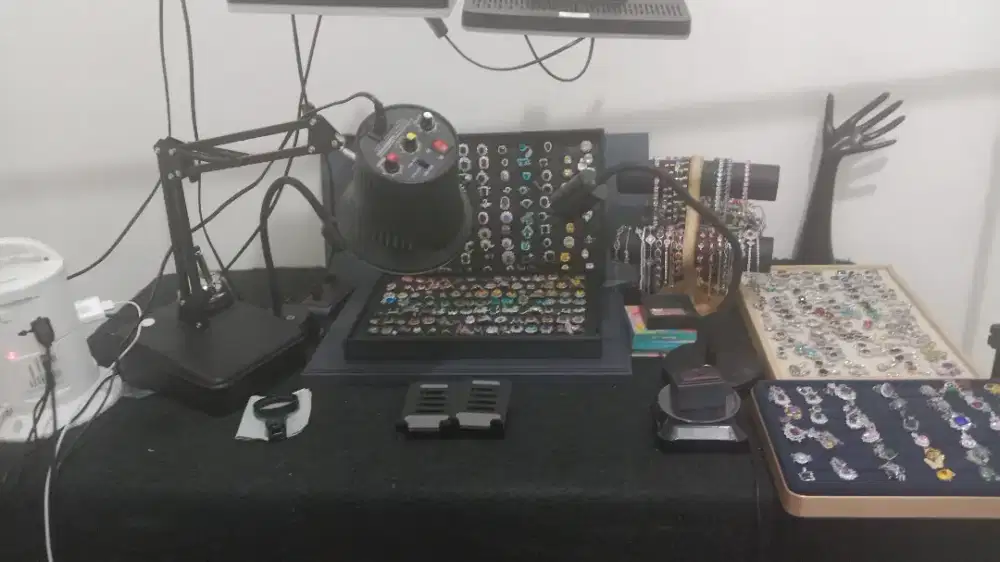 We are looking for HOST LIVE