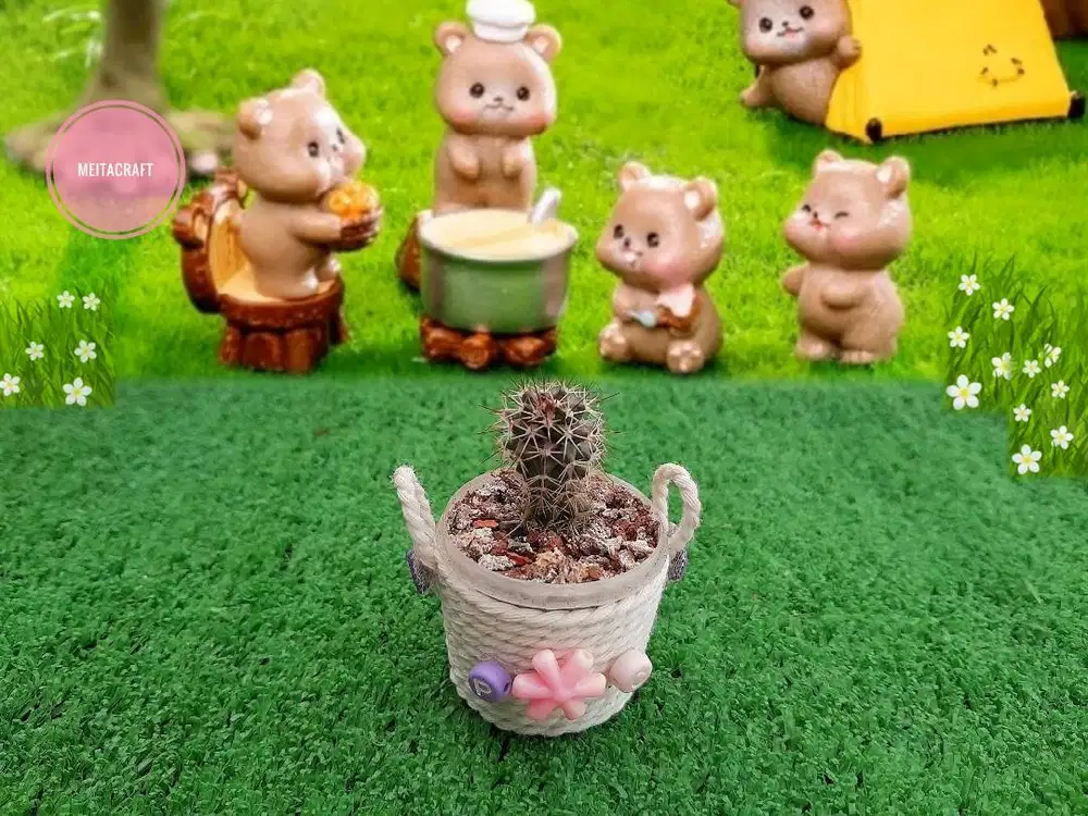 Kaktus Mammillaria dengan Pot Model Keranjang Putih