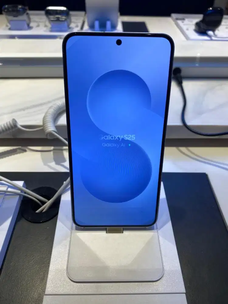 SAMSUNG GALAXY S25