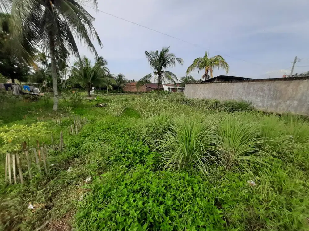 Dijual tanah kapling ukuran 12mx14m