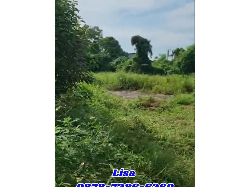 DIJUAL TANAH PALING MURAH LOKASI LEGOK START 1JUTAAN NEGO MURAH BANGE