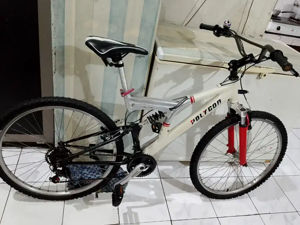 Polygon fullsus Alloy 26 Mulus