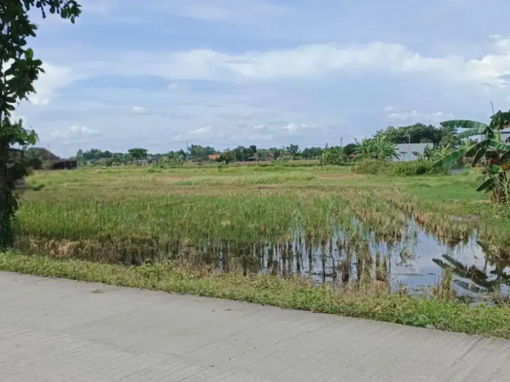 JUAL TANAH SHM 979 M2 GIRIROTO NGEMPLAK KAB BOYOLALI